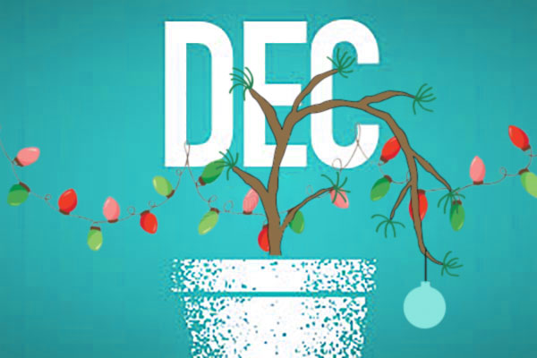 seedling in a pot with DEC in bacround hung with lights and an ornament